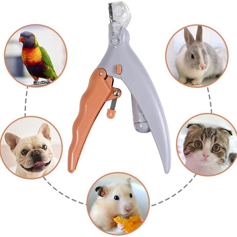 Peti Nail Clipper Pet Led With Light Nail Clipper Cat Dog Cleaning Scissors Beauty Luminous Nail Clipper - Image 2